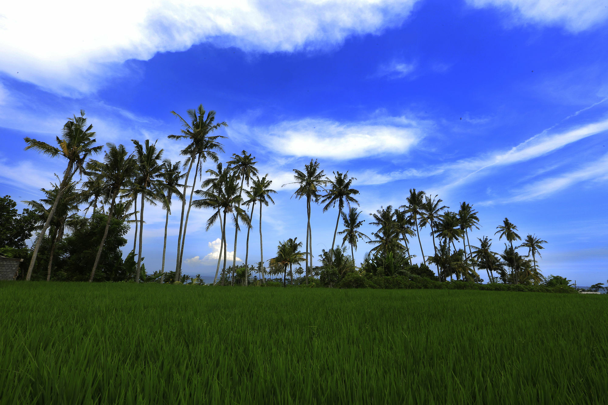The Garga Beach Villas Ketewel Luaran gambar